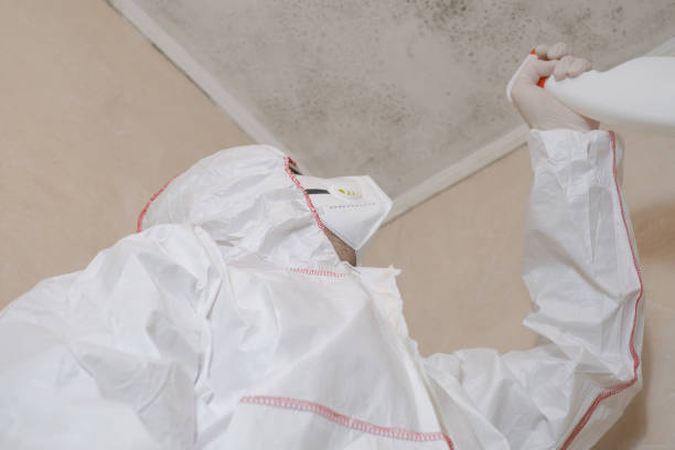 Best Professional Mold Removal  in Dry Run, OH